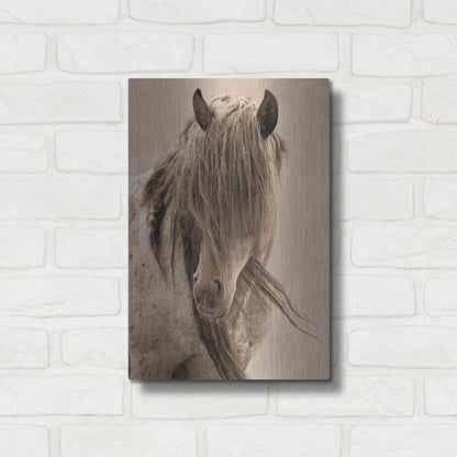 Luxe Metal Art 'Freedom' by Lisa Dearing, Metal Wall Art,12x16