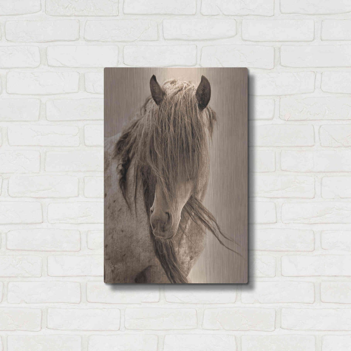 Luxe Metal Art 'Freedom' by Lisa Dearing, Metal Wall Art,16x24