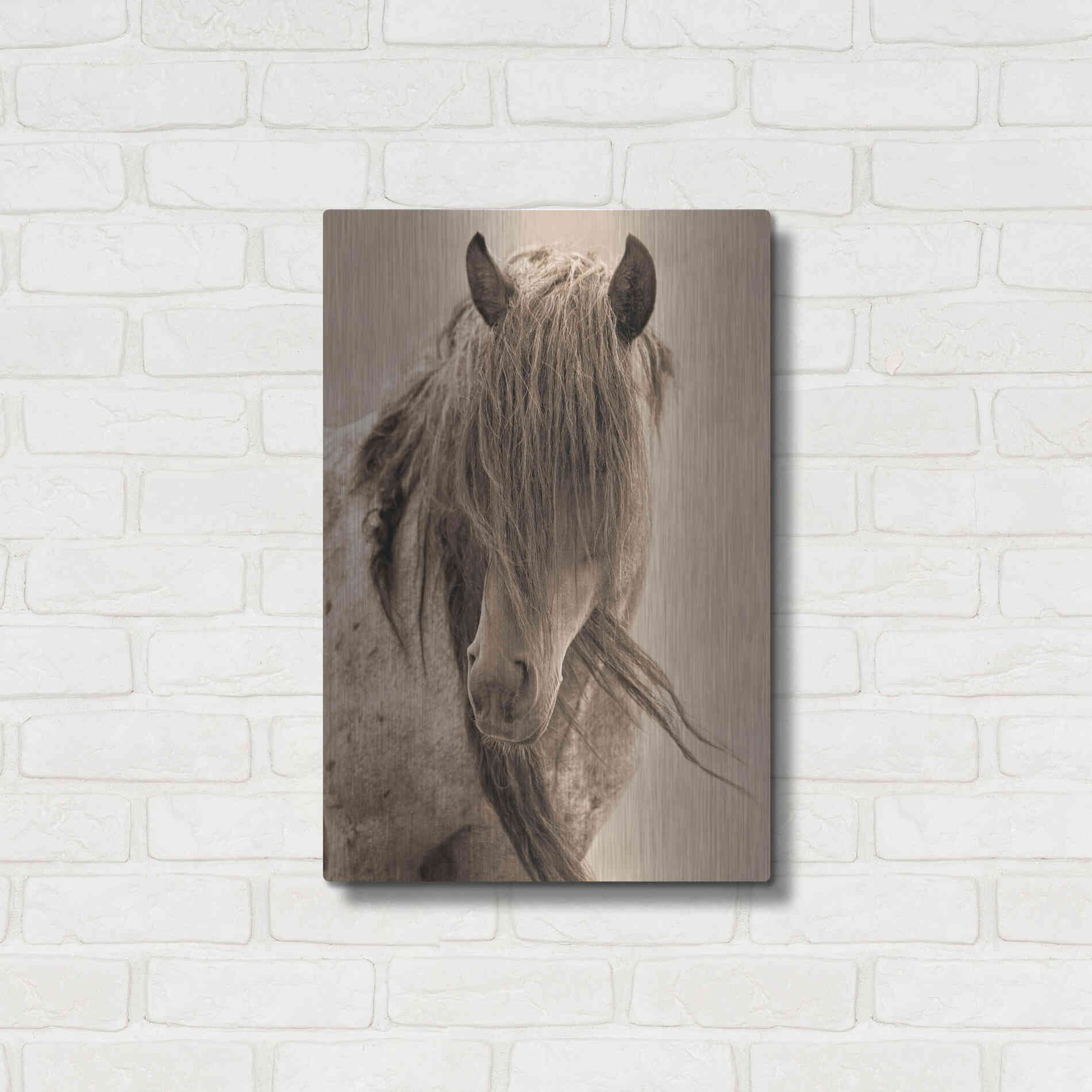 Luxe Metal Art 'Freedom' by Lisa Dearing, Metal Wall Art,16x24