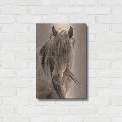 Luxe Metal Art 'Freedom' by Lisa Dearing, Metal Wall Art,16x24