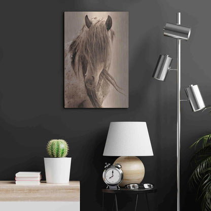 Luxe Metal Art 'Freedom' by Lisa Dearing, Metal Wall Art,16x24