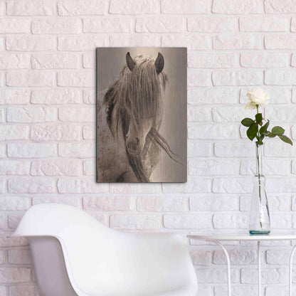 Luxe Metal Art 'Freedom' by Lisa Dearing, Metal Wall Art,16x24