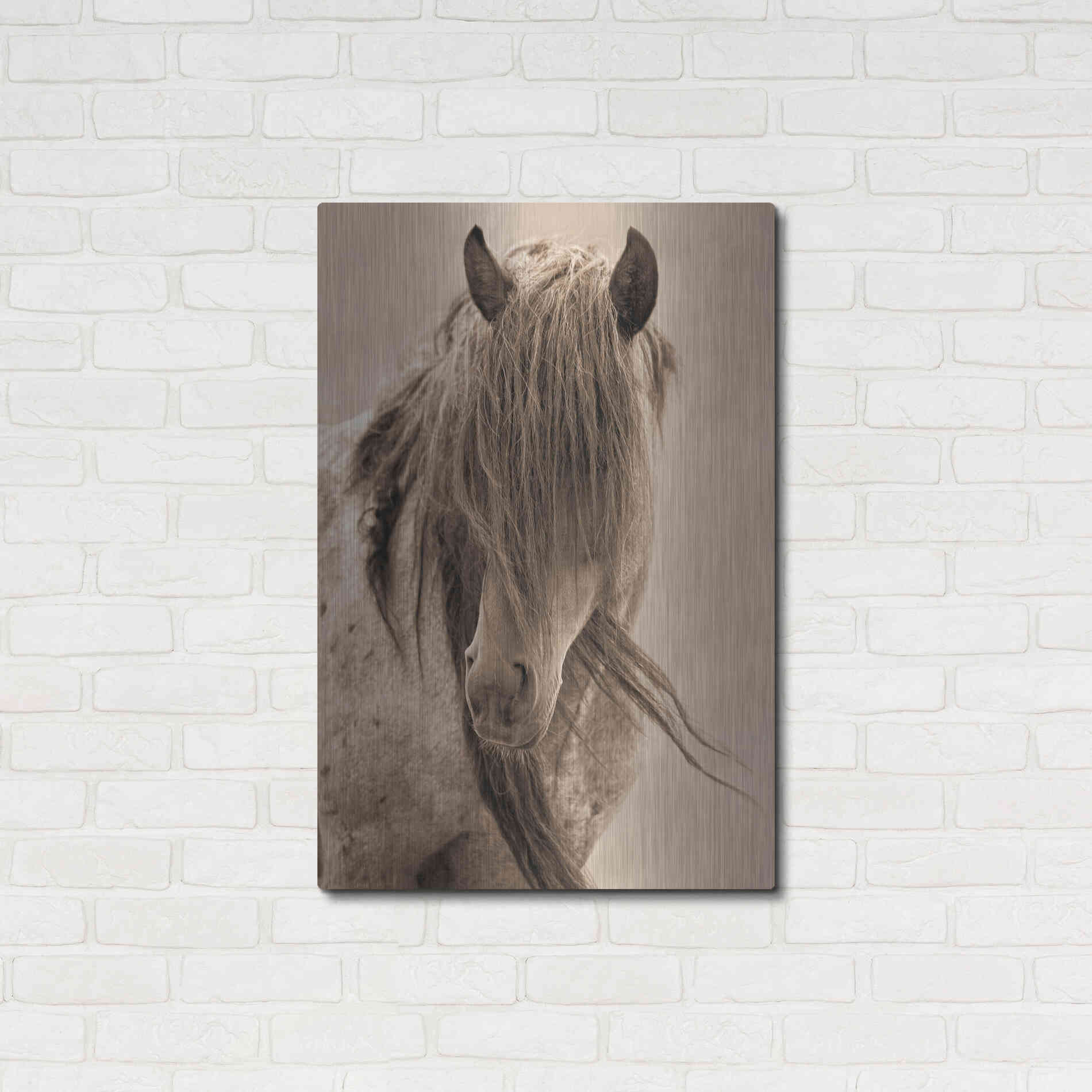 Luxe Metal Art 'Freedom' by Lisa Dearing, Metal Wall Art,24x36