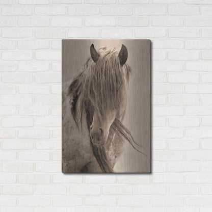 Luxe Metal Art 'Freedom' by Lisa Dearing, Metal Wall Art,24x36