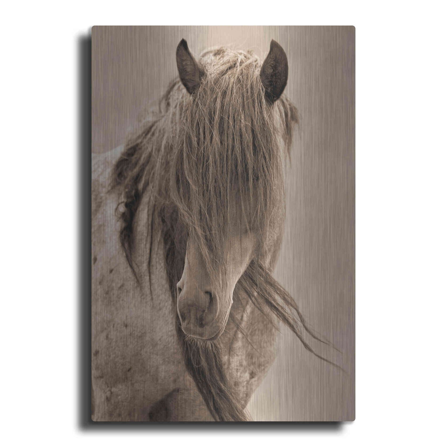 Luxe Metal Art 'Freedom' by Lisa Dearing, Metal Wall Art