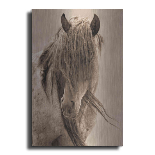 Luxe Metal Art 'Freedom' by Lisa Dearing, Metal Wall Art