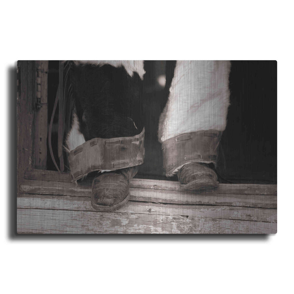 Luxe Metal Art 'Furry Chaps' by Lisa Dearing, Metal Wall Art