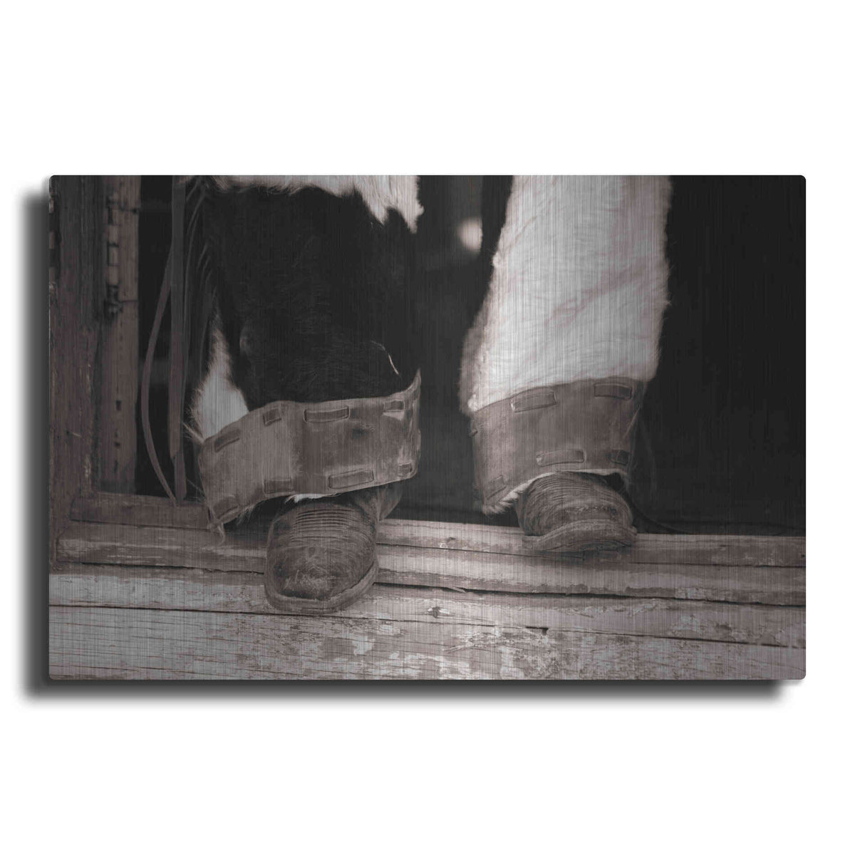 Luxe Metal Art 'Furry Chaps' by Lisa Dearing, Metal Wall Art