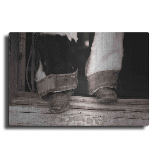 Luxe Metal Art 'Furry Chaps' by Lisa Dearing, Metal Wall Art