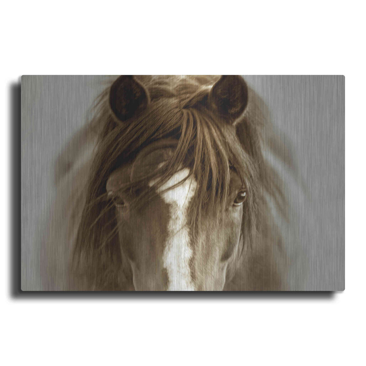 Luxe Metal Art 'Ghost Horse' by Lisa Dearing, Metal Wall Art