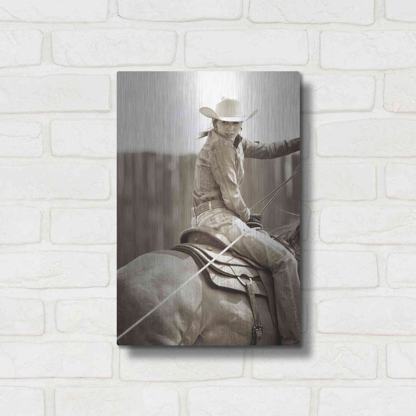 Luxe Metal Art 'Got One' by Lisa Dearing, Metal Wall Art,12x16