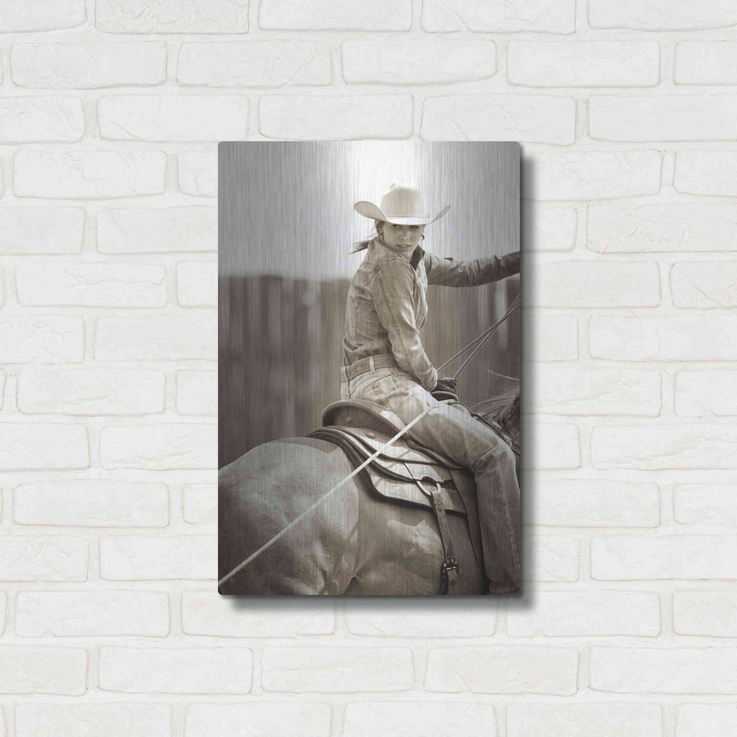 Luxe Metal Art 'Got One' by Lisa Dearing, Metal Wall Art,16x24