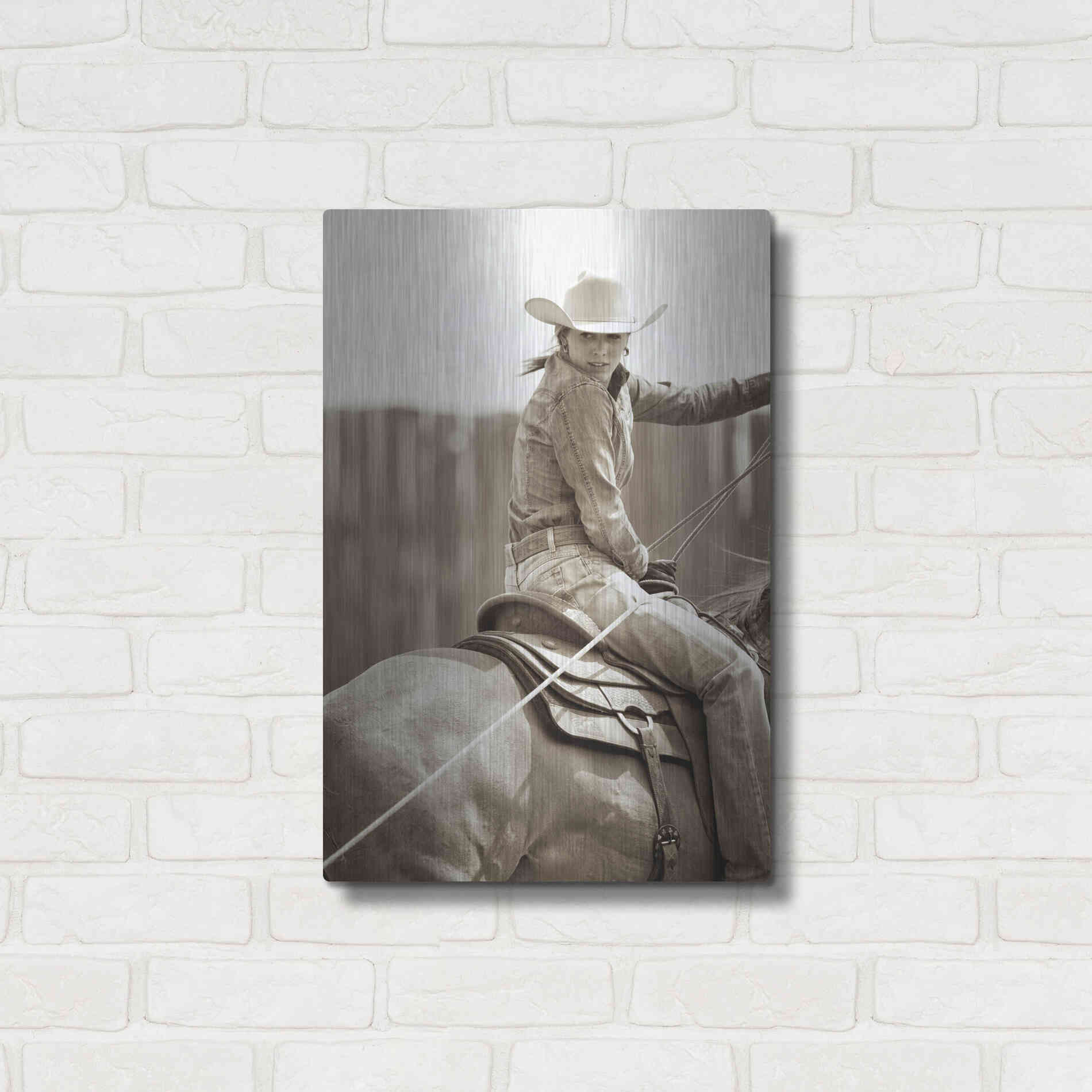 Luxe Metal Art 'Got One' by Lisa Dearing, Metal Wall Art,16x24