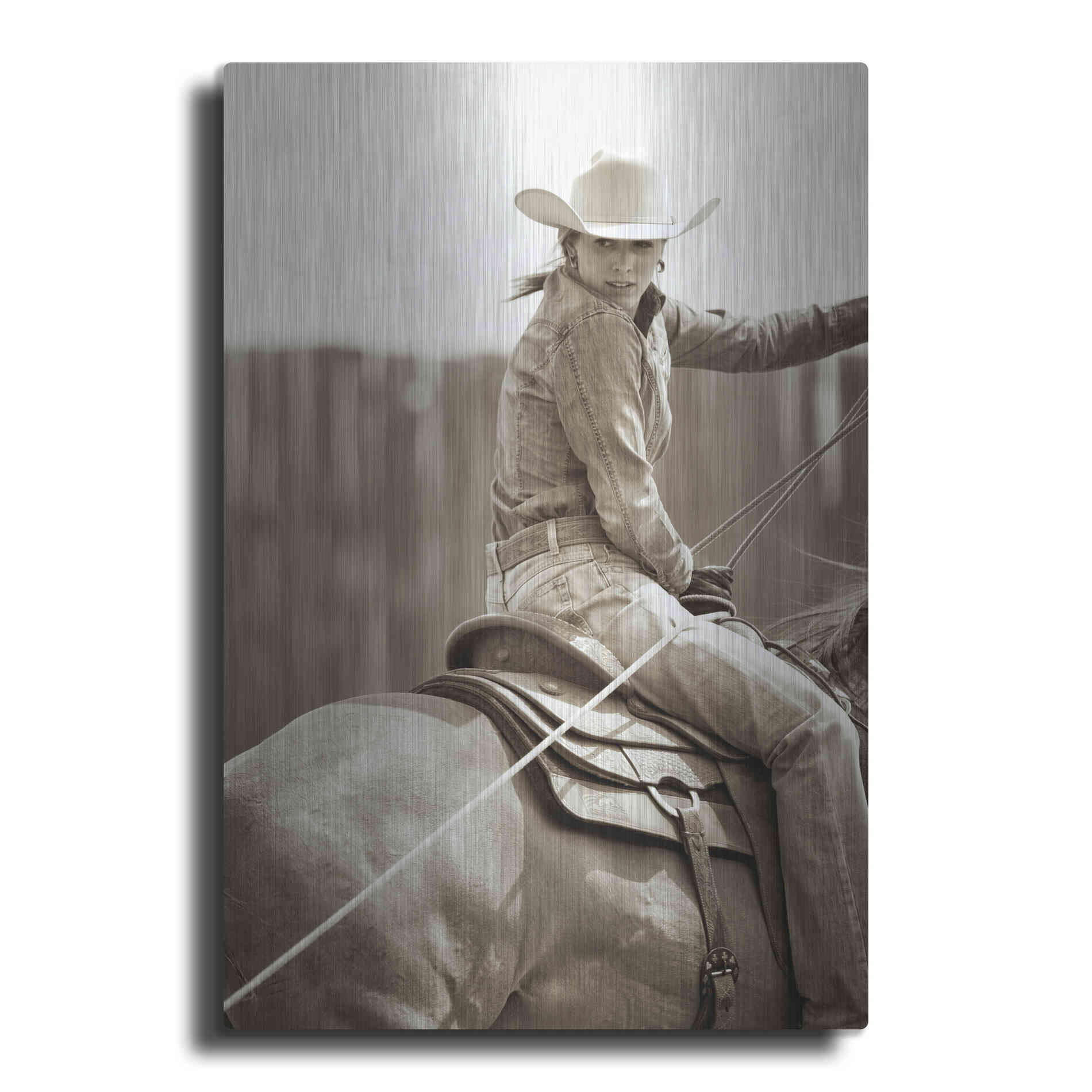 Luxe Metal Art 'Got One' by Lisa Dearing, Metal Wall Art