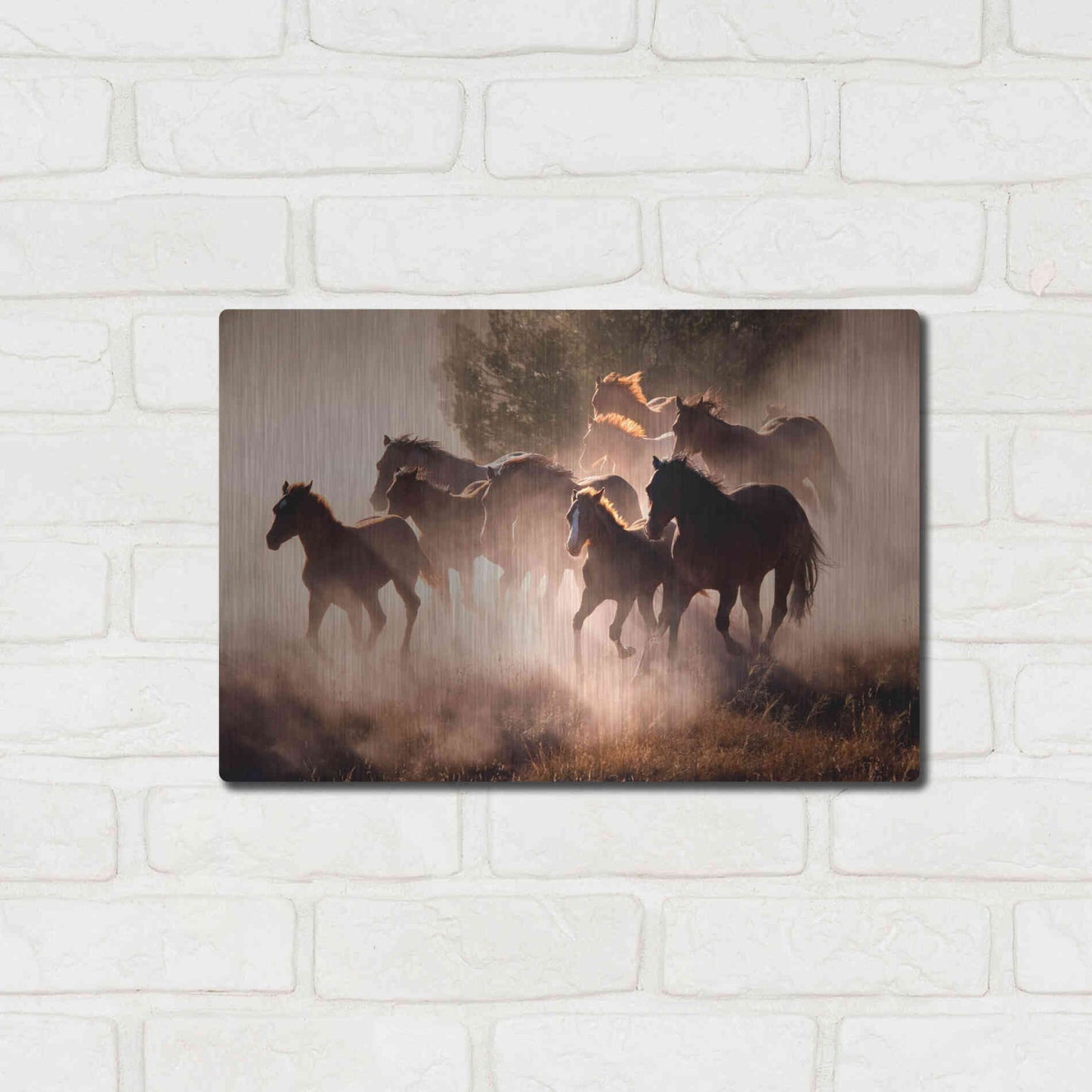 Luxe Metal Art 'Horses' by Lisa Dearing, Metal Wall Art,16x12