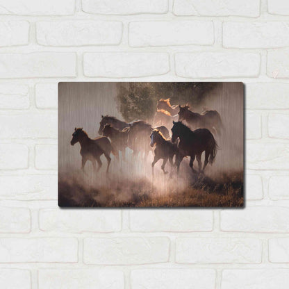 Luxe Metal Art 'Horses' by Lisa Dearing, Metal Wall Art,16x12