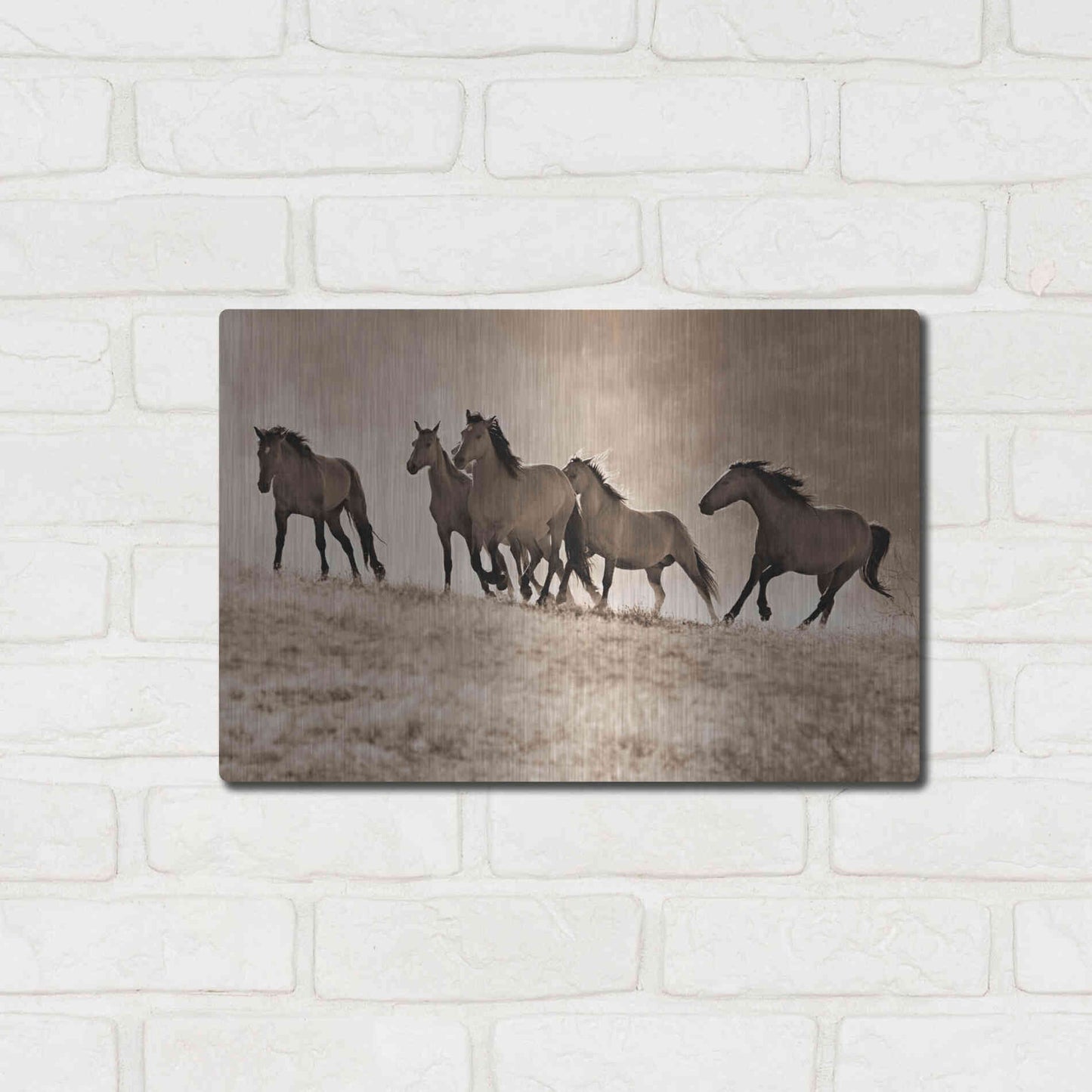 Luxe Metal Art 'Kicking Dust' by Lisa Dearing, Metal Wall Art,16x12