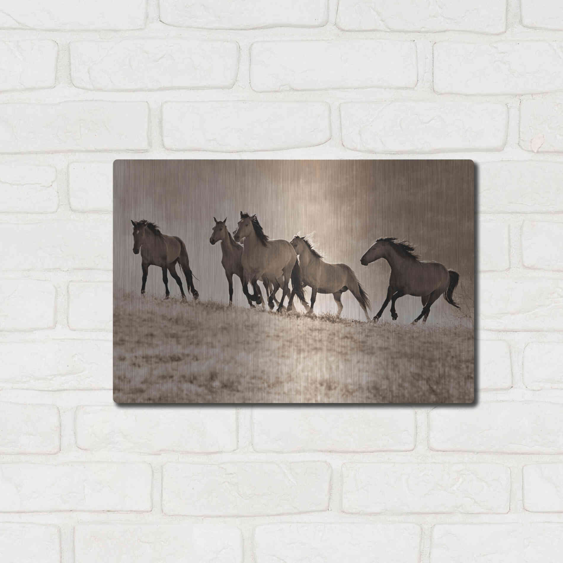 Luxe Metal Art 'Kicking Dust' by Lisa Dearing, Metal Wall Art,16x12