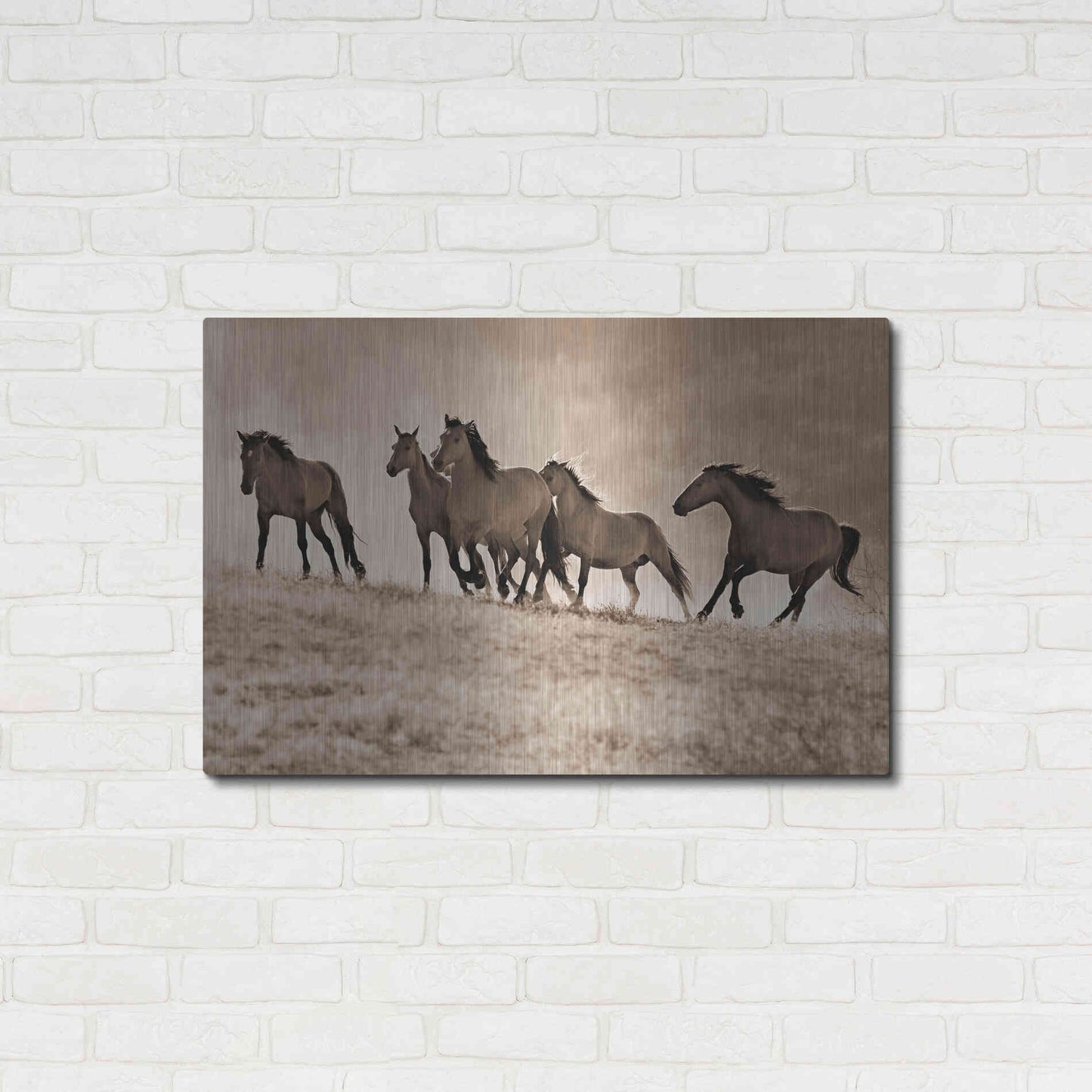 Luxe Metal Art 'Kicking Dust' by Lisa Dearing, Metal Wall Art,36x24