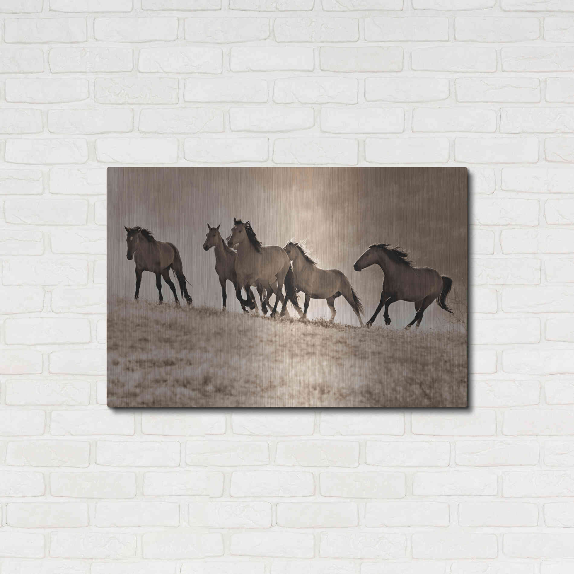 Luxe Metal Art 'Kicking Dust' by Lisa Dearing, Metal Wall Art,36x24
