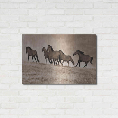 Luxe Metal Art 'Kicking Dust' by Lisa Dearing, Metal Wall Art,36x24