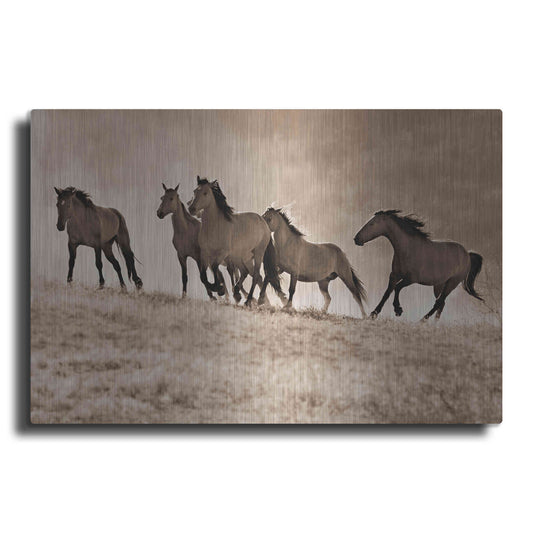 Luxe Metal Art 'Kicking Dust' by Lisa Dearing, Metal Wall Art