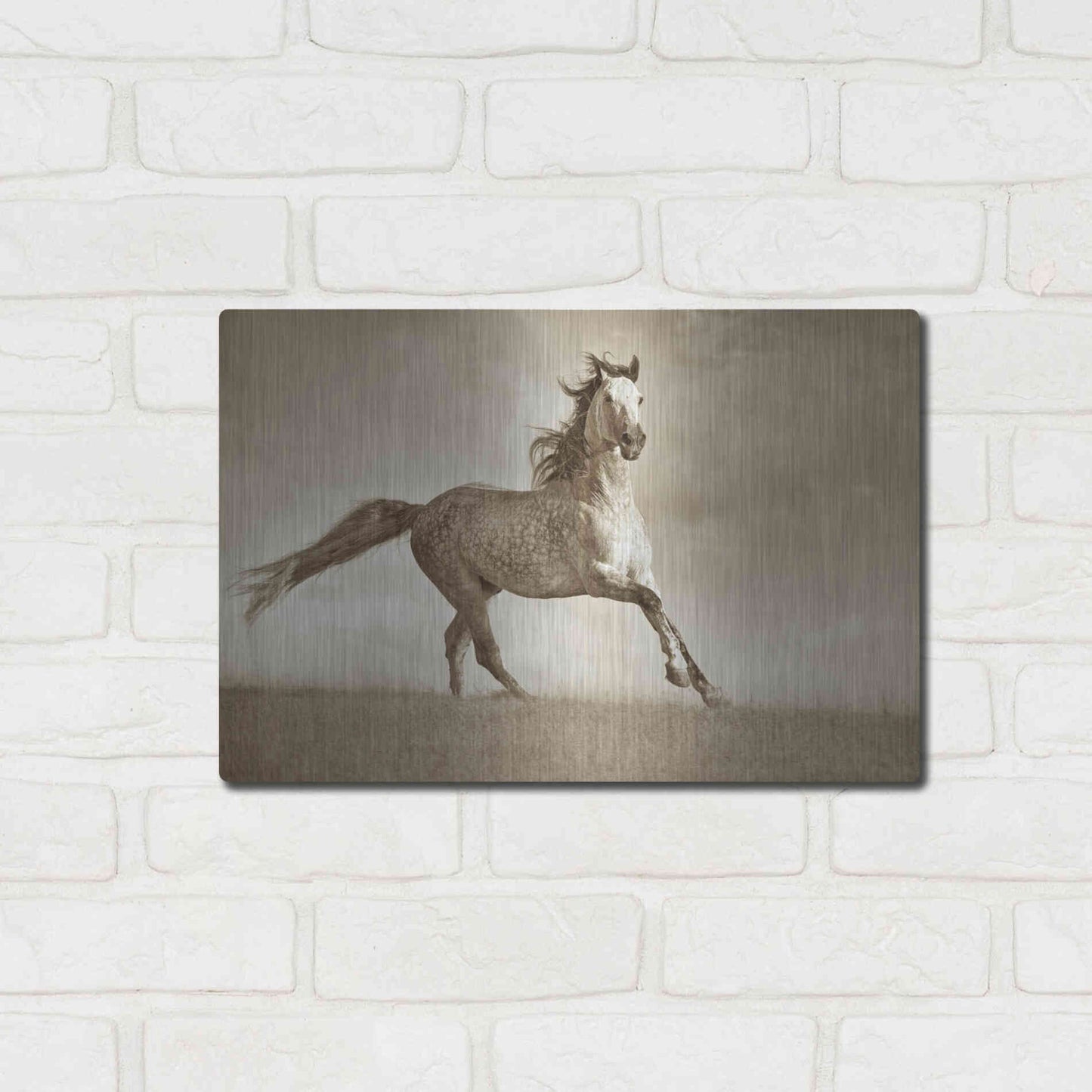 Luxe Metal Art 'Like the Wind' by Lisa Dearing, Metal Wall Art,16x12