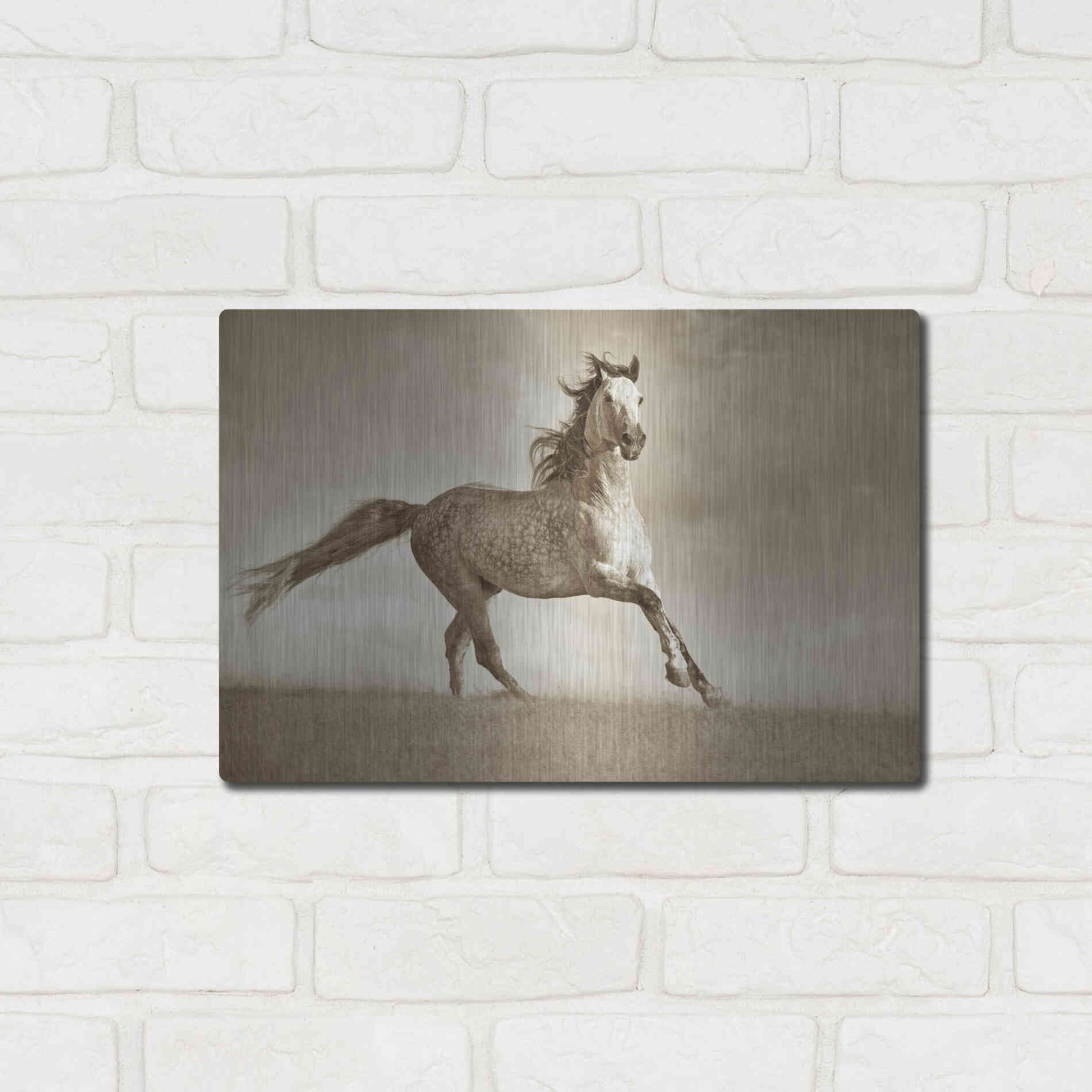 Luxe Metal Art 'Like the Wind' by Lisa Dearing, Metal Wall Art,16x12