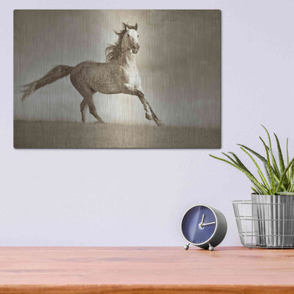 Luxe Metal Art 'Like the Wind' by Lisa Dearing, Metal Wall Art,16x12