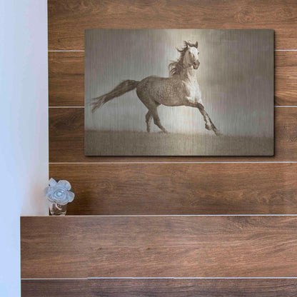Luxe Metal Art 'Like the Wind' by Lisa Dearing, Metal Wall Art,16x12
