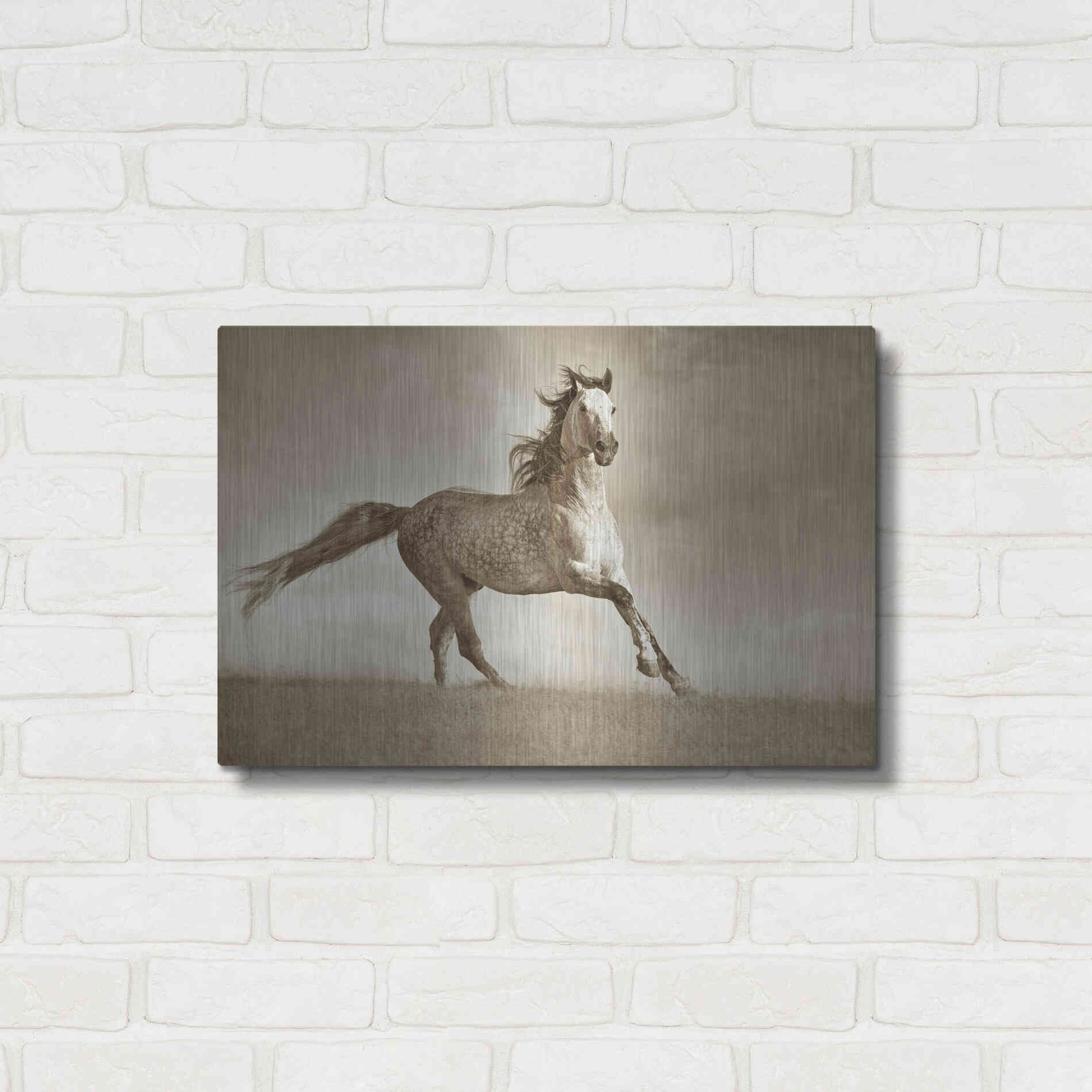 Luxe Metal Art 'Like the Wind' by Lisa Dearing, Metal Wall Art,24x16