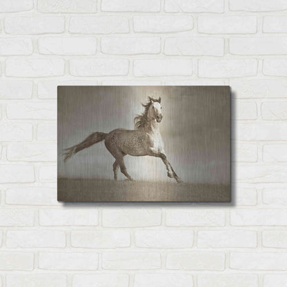 Luxe Metal Art 'Like the Wind' by Lisa Dearing, Metal Wall Art,24x16