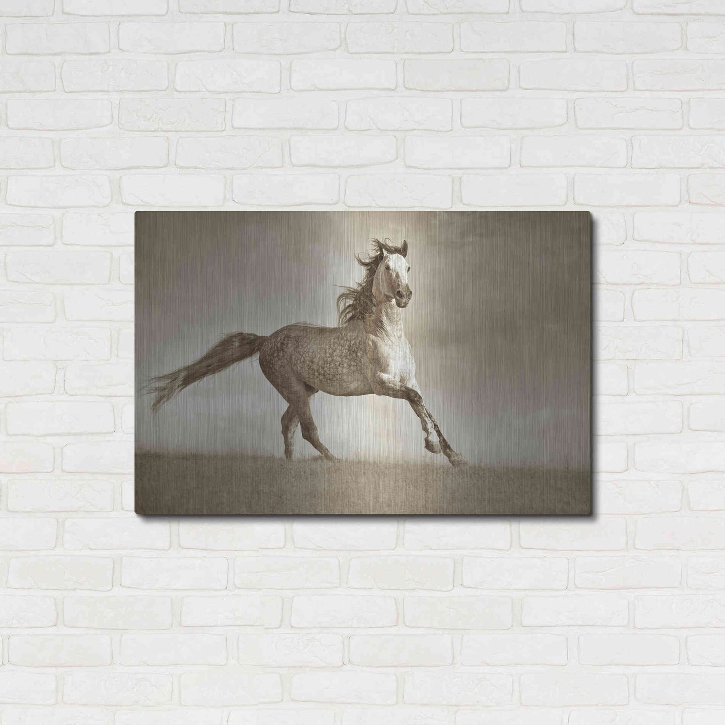 Luxe Metal Art 'Like the Wind' by Lisa Dearing, Metal Wall Art,36x24