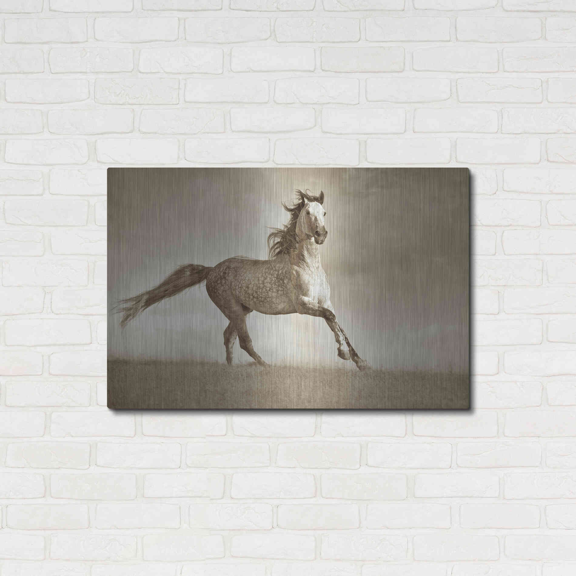 Luxe Metal Art 'Like the Wind' by Lisa Dearing, Metal Wall Art,36x24