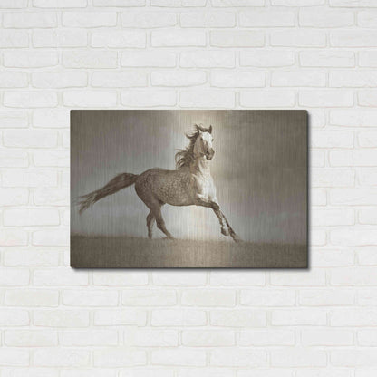 Luxe Metal Art 'Like the Wind' by Lisa Dearing, Metal Wall Art,36x24
