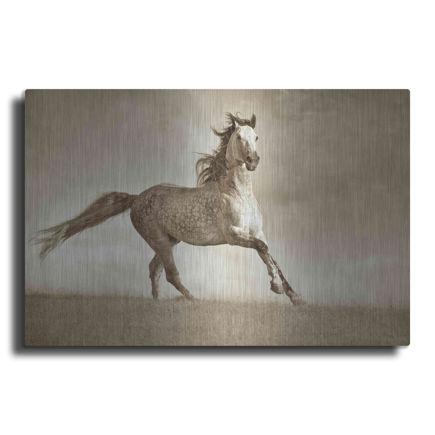 Luxe Metal Art 'Like the Wind' by Lisa Dearing, Metal Wall Art