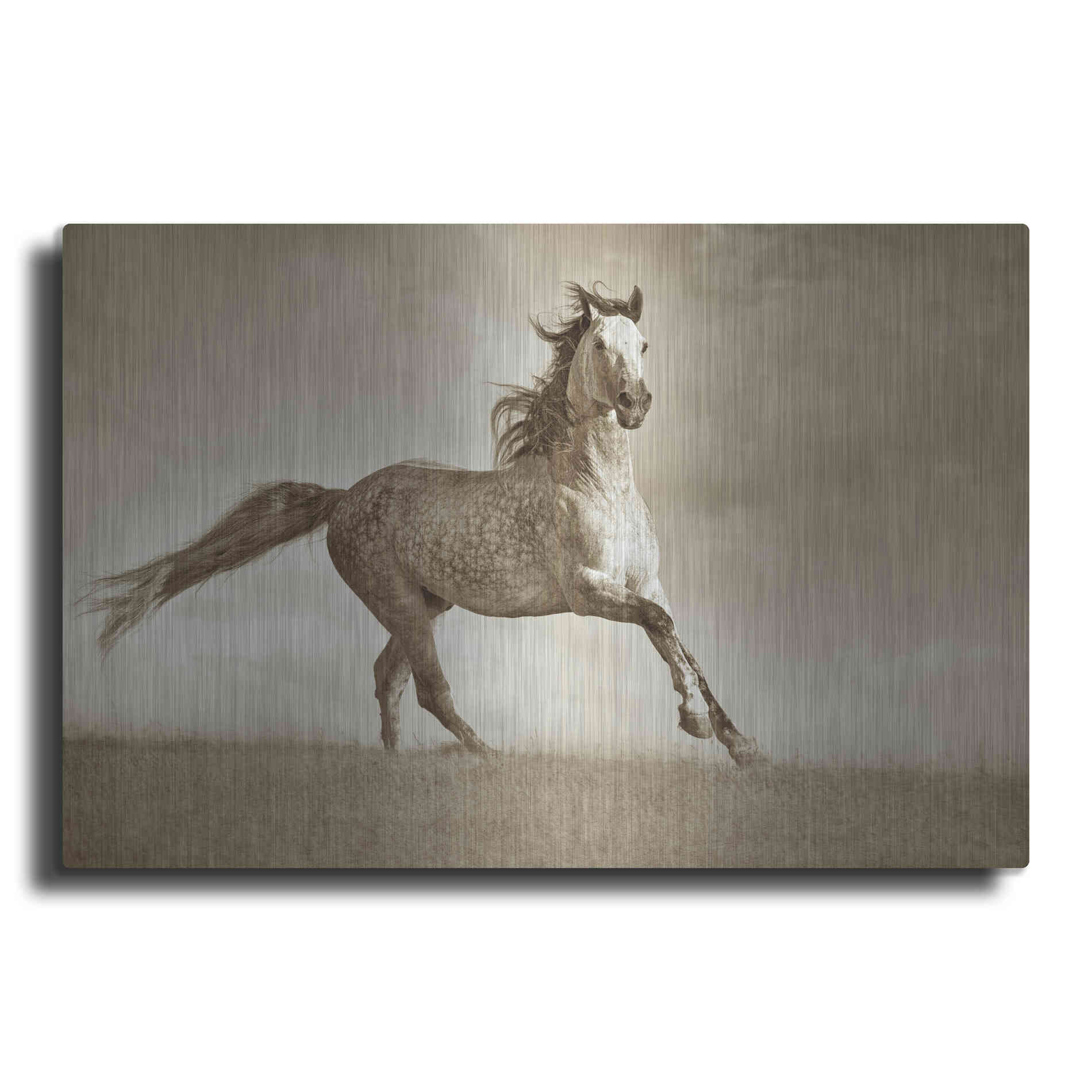 Luxe Metal Art 'Like the Wind' by Lisa Dearing, Metal Wall Art