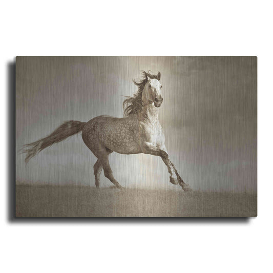Luxe Metal Art 'Like the Wind' by Lisa Dearing, Metal Wall Art