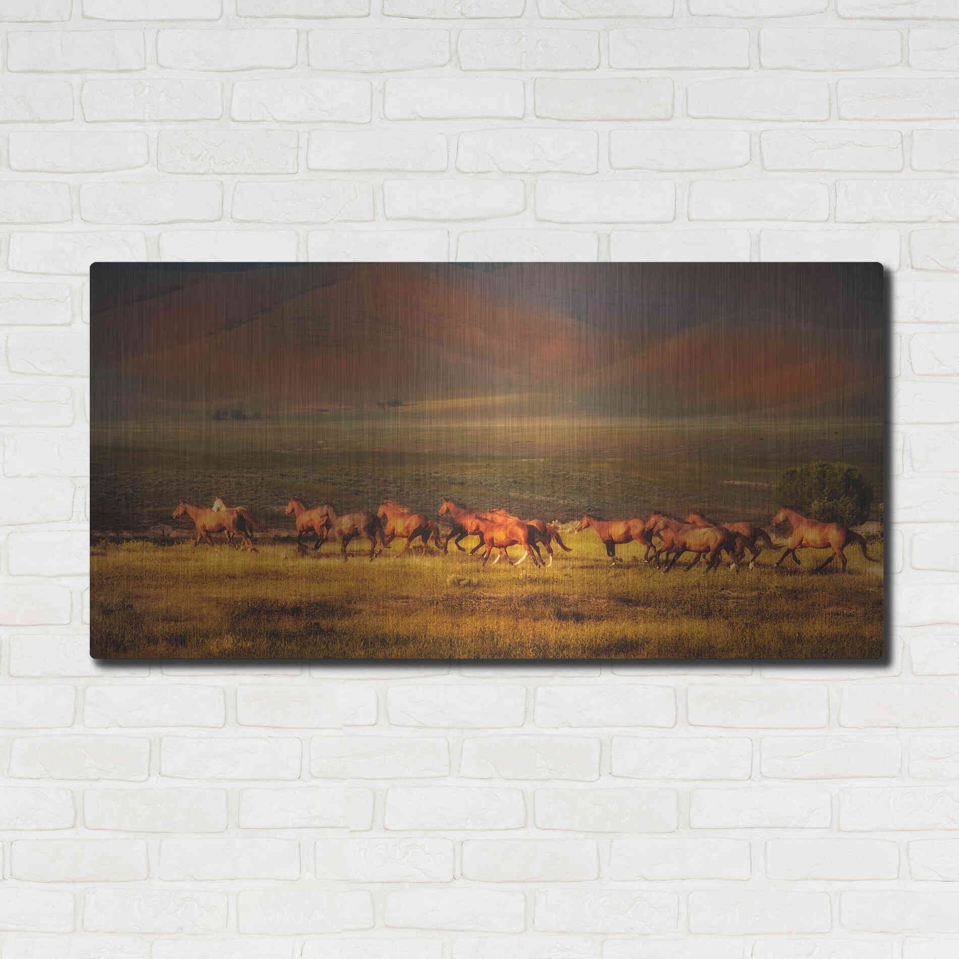 Luxe Metal Art 'Montana Dreaming' by Lisa Dearing, Metal Wall Art,48x24