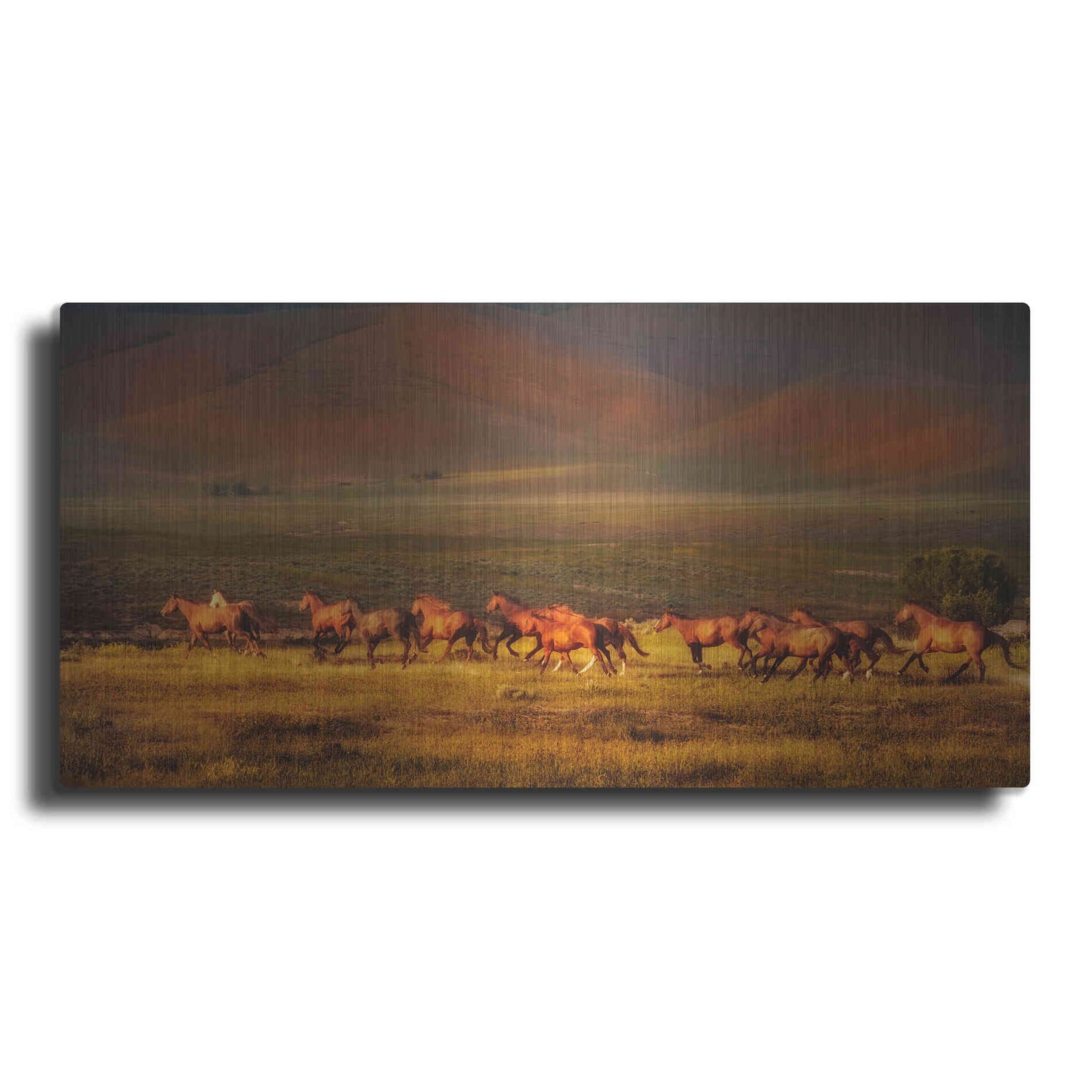 Luxe Metal Art 'Montana Dreaming' by Lisa Dearing, Metal Wall Art