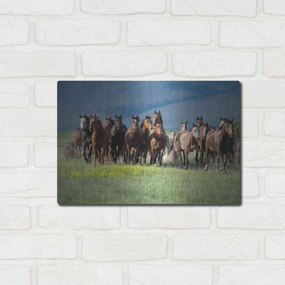 Luxe Metal Art 'Montana Thunder' by Lisa Dearing, Metal Wall Art,16x12