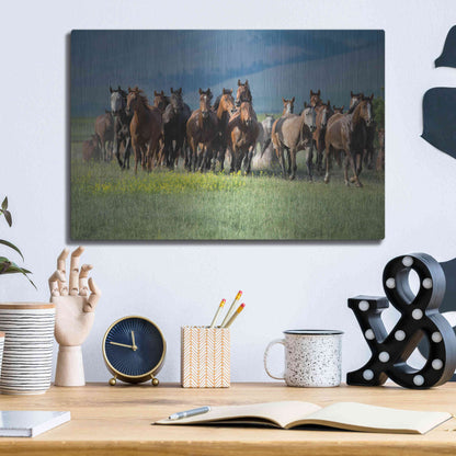 Luxe Metal Art 'Montana Thunder' by Lisa Dearing, Metal Wall Art,16x12