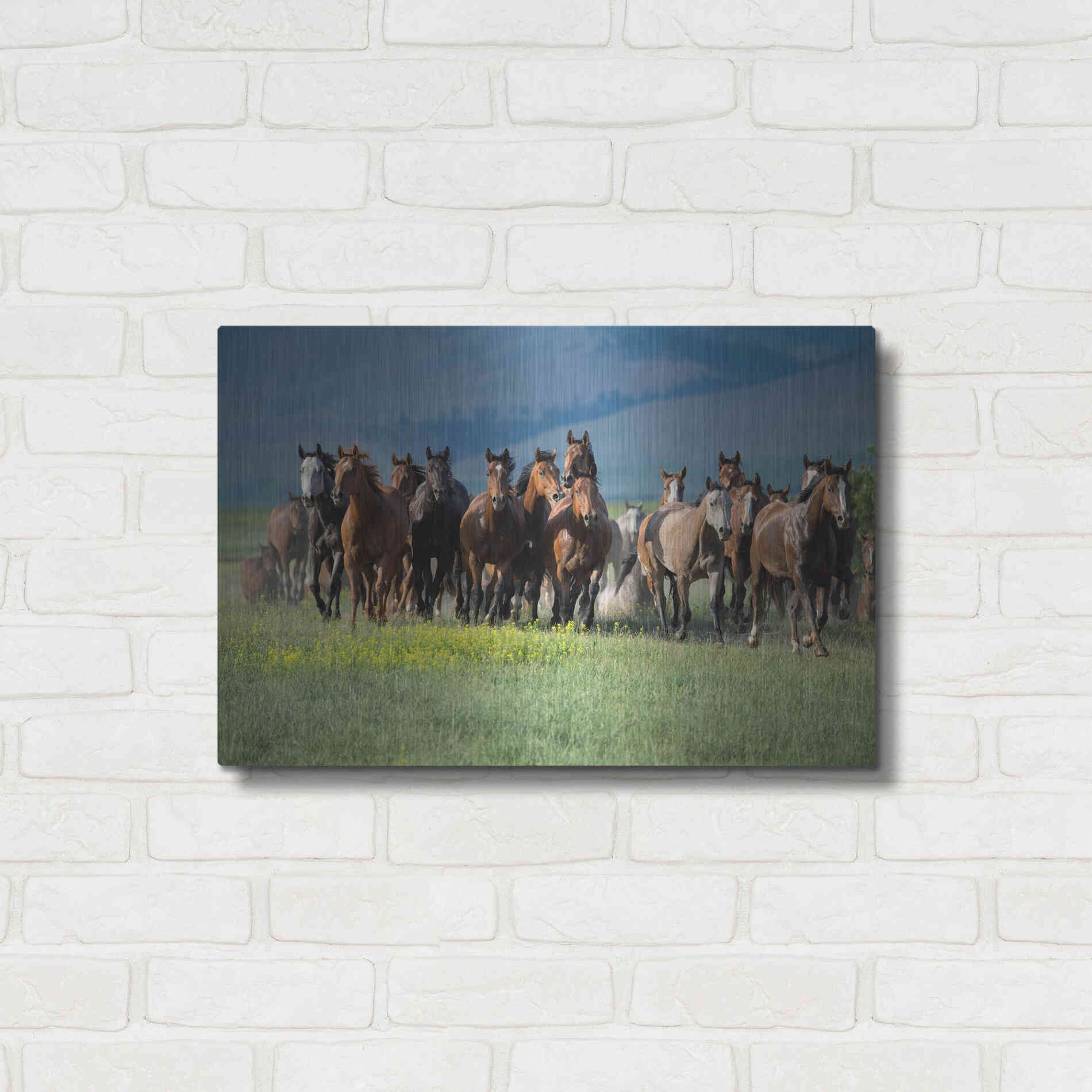 Luxe Metal Art 'Montana Thunder' by Lisa Dearing, Metal Wall Art,24x16