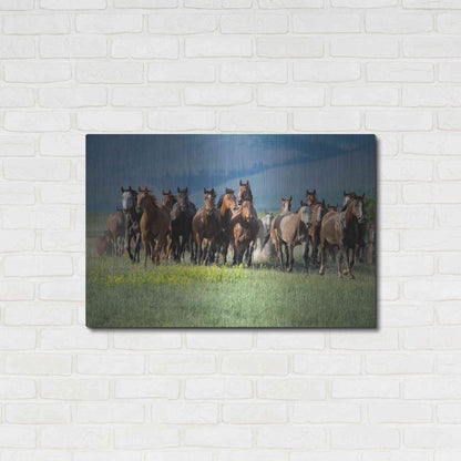 Luxe Metal Art 'Montana Thunder' by Lisa Dearing, Metal Wall Art,36x24