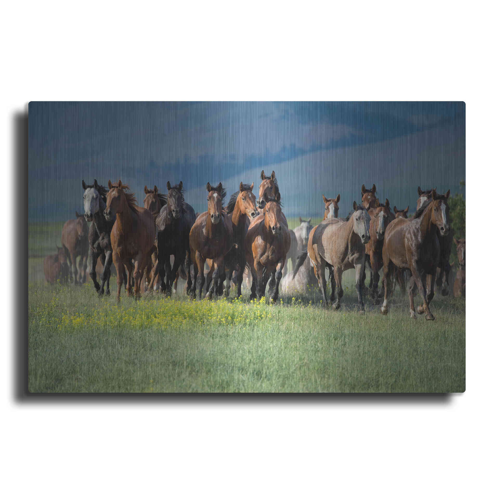 Luxe Metal Art 'Montana Thunder' by Lisa Dearing, Metal Wall Art