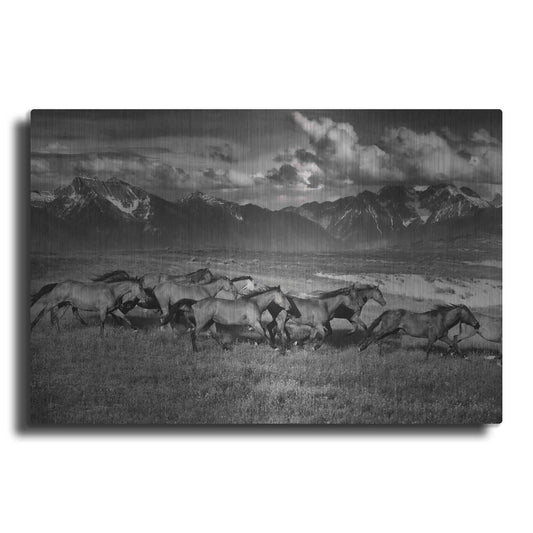 Luxe Metal Art 'Mountain Range Mavericks' by Lisa Dearing, Metal Wall Art