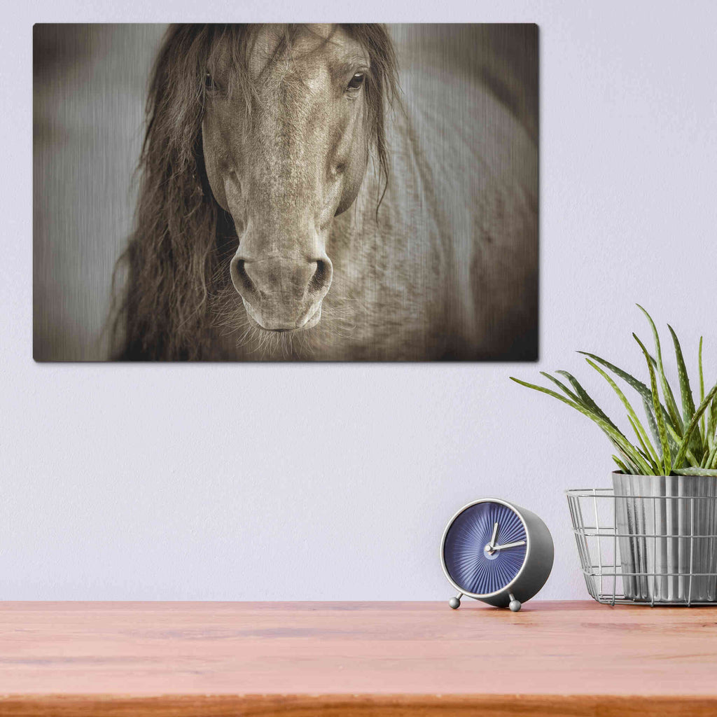 Luxe Metal Art 'Mustang Sally' by Lisa Dearing, Metal Wall Art,16x12
