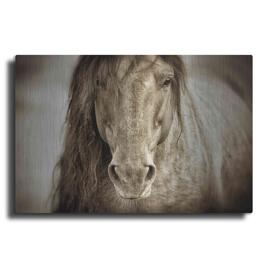 Luxe Metal Art 'Mustang Sally' by Lisa Dearing, Metal Wall Art