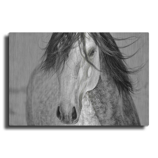 Luxe Metal Art 'My Beautiful Mane' by Lisa Dearing, Metal Wall Art