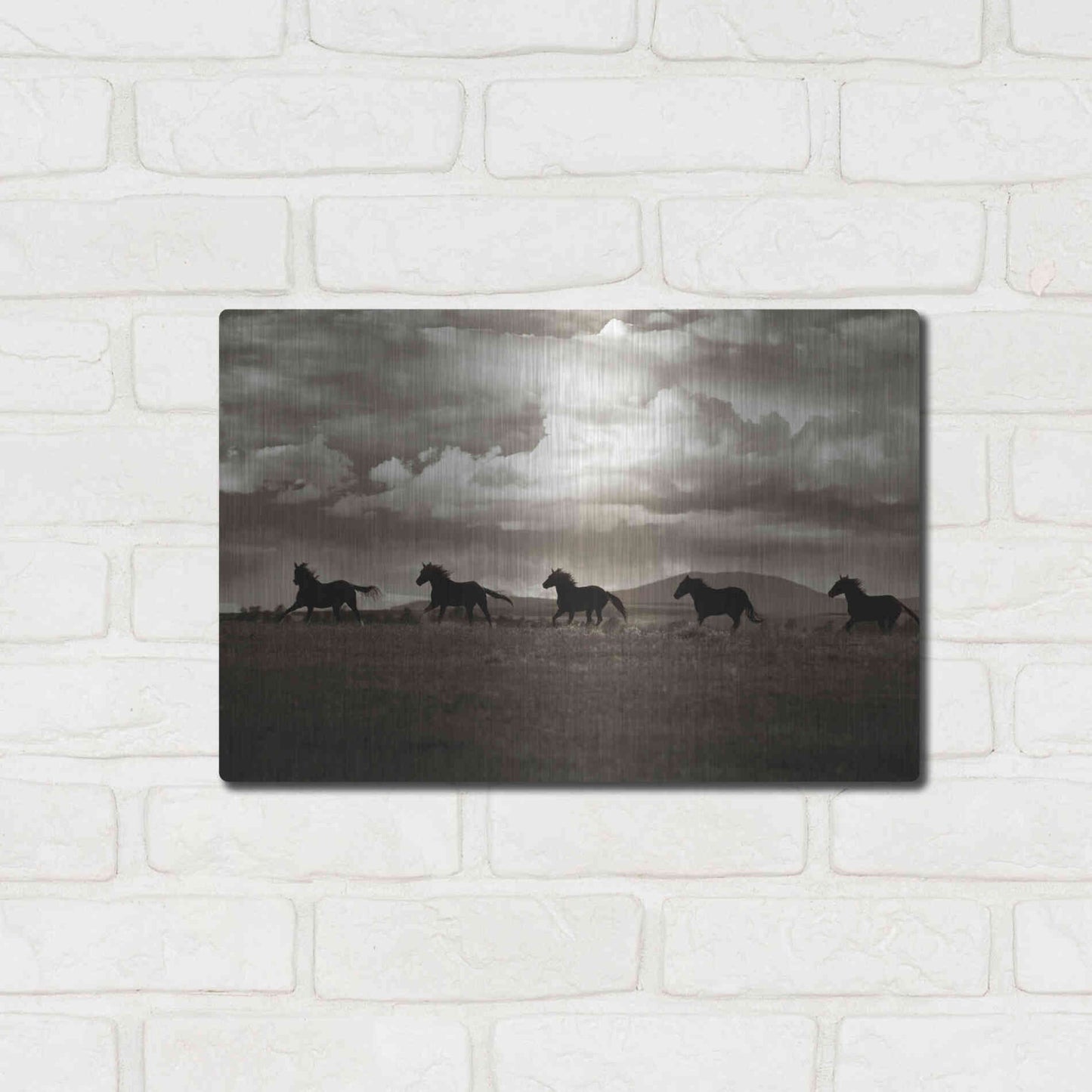 Luxe Metal Art 'Racing the Clouds' by Lisa Dearing, Metal Wall Art,16x12